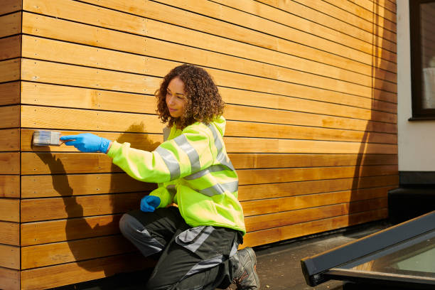 Best Brick Veneer Siding  in Fern Acres, HI